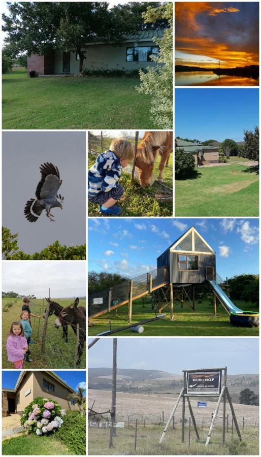 Rusthof Accommodation Gansbaai Exterior photo