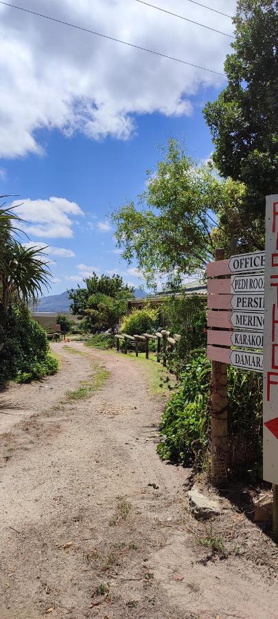 Rusthof Accommodation Gansbaai Exterior photo